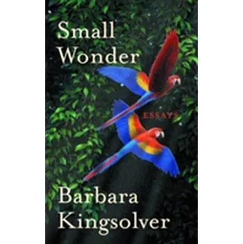 Small Wonder - Barbara Kingsolver [EN] (2003, Brožovaná / brožovaná, Faber & Faber)