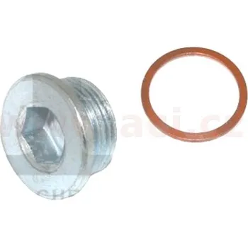 Auto-moto výpustný šroub olejové vany M22x1,5, délka 10mm, vč. těsnění