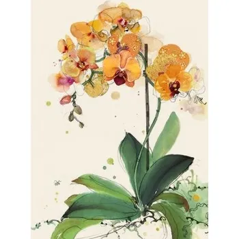 Přání B041 BUG ART*