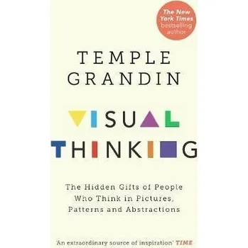 Cizojazyčná kniha Visual Thinking : The Hidden Gifts of People Who Think in Pictures, Patterns and Abstracti