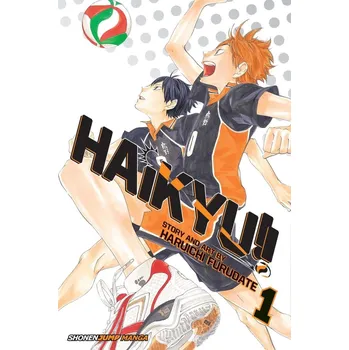 Beletrie pro dospělé Haikyu!! 1