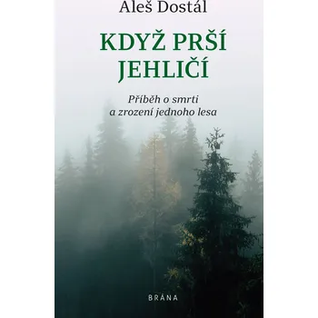 Kniha Když prší jehličí