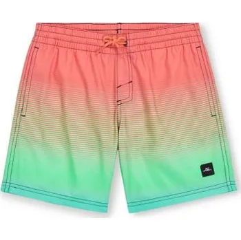 Dívčí tričko Plavecké šortky O'Neill Jack Cali Gradient 14'' Jr 92800613570 152