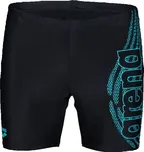 Arena Swim Mid Jammer Graphic