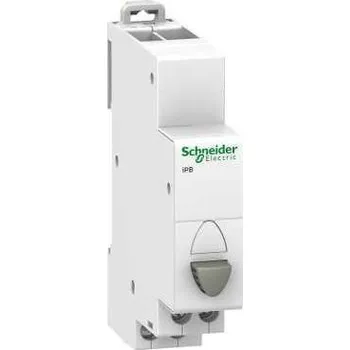 Schneider Electric A9E18030 TLAČ. IBP ŠEDÉ 1VYP 20A 250V