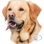 Avisa Samolepka na auto Labradorský…