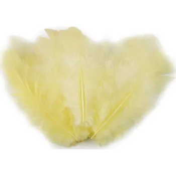Výtvárné potřeby Slepičí peří délka 8-9 cm, barva 1 žlutá nejsv.