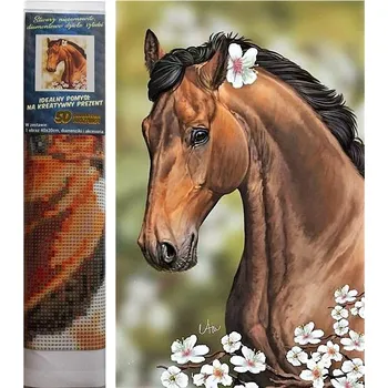 Diamantové malování Norimpex Kůň s květinami 30 × 40 cm
