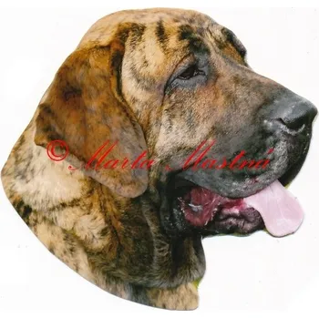 Samolepka brazilská fila 123