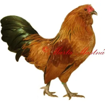 Samolepka drůbež, kohout antverpský vousáč žlutý