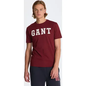 Pánské tričko TRIČKO GANT MD. SS T-SHIRT PLUMPED RED