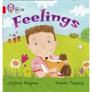 Učebnice Feelings - Hughes, Monica