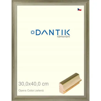 Obraz DANTIK Rámeček 40 x 30 cm