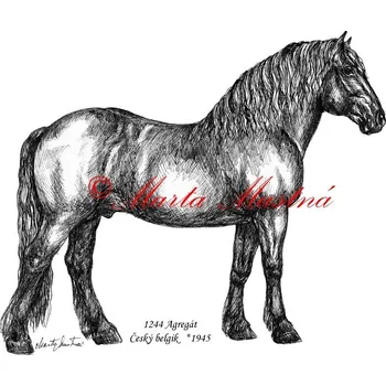 Samolepka chladnokrevník Agregát, kůň, koně c642 - Malá - přibližně jako pohlednice