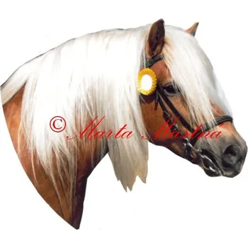 Samolepka hafling Mozart, kůň, koně - archiv 567