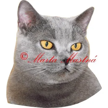 Samolepka kočka britská žlutooká