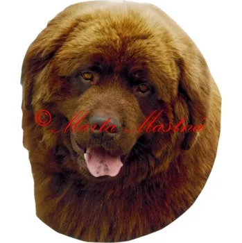 Samolepka novofundlandský pes archiv 595