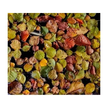 Polep vozidla Stickerbomb TLKN-374 auto wrap fólie 152x2000cm - interiér/exteriér