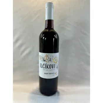 Modrý Portugal 2023, moravské zemské víno, Rodinné vinařství Ilčíkovi, suché