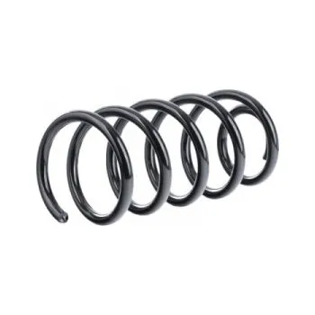 Přední pružina Renault TRAFIC 2 autobus (JL) 1.9dCI100, 1.9dCI80, 2.0, 2.016V, 2.5dCi11