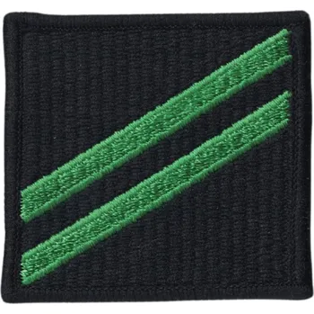 Nášivka Nášivka US Army US Navy Airman Apprentice E-2 - černá-zelená
