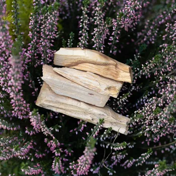 Vonná tyčinka Dřívka Palo Santo k vykuřování (3–6 dřívek) 30g