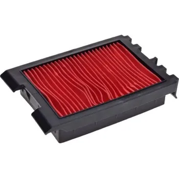 Filtr pro motocykl Baotian Vzduchový filtr typ2 SNH3042