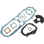 101_Octane Sada těsnění motoru Minarelli vert. 22782