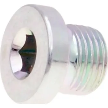 Elektroinstalace pro motocykl Polini Zátka čidla teploty Polini 315.0023