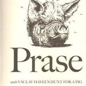 Obrázek k inzerátu: Prase (Václav Havel)