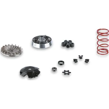 Motor pro motocykl Malossi Variátor MHR Minarelli 5112800