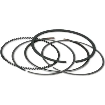 Motor pro motocykl Malossi Pístní kroužky Malossi 63mm 3518852