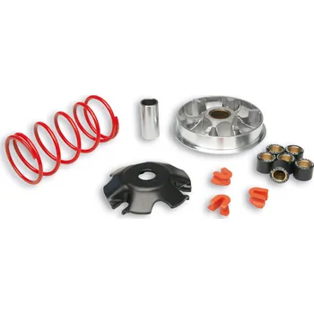 Auto-moto Malossi Variátor Multivar Delight 115 5116287