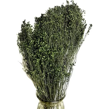 umělá květina Sušený Broom Bloom zelený, kytice/svazek 50g
