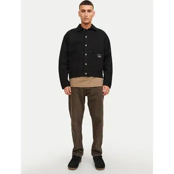 Pánská móda Jack & Jones Jeansy Chris 12246401 Hnědá Relaxed Fit 30_34