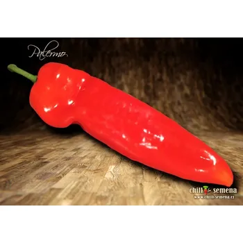 Semeno chilli-semena chilli Palermo 10 ks