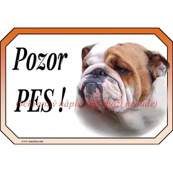 Cedulka buldok anglický, bulldog pozor - Bez samolepicí vrstvy
