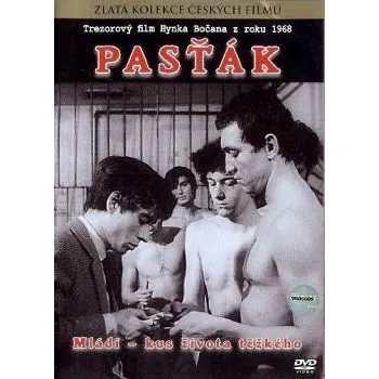 DVD film Pasťák - Papírový obal (pošetka)