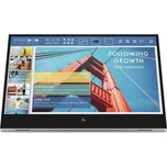 HP E14 G4, 14" IPS přenosný, 1920x1080@60Hz, 400cd, 2xUSB-C, černo-stříbrný