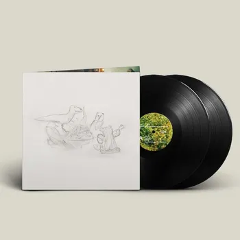 Hudba Big Thief: Dragon New Warm Mountain I Believe In You - 2Vinyl (LP)
