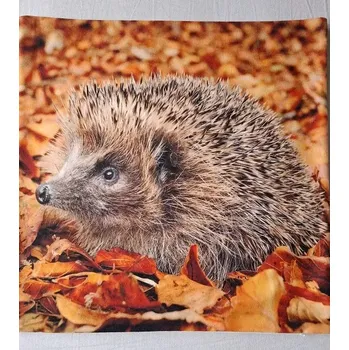 Povlak na dekorativní polštářek Povlak na polštářek Ježek 02