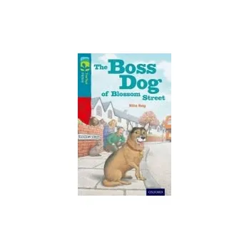 Cizojazyčná kniha Oxford Reading Tree TreeTops Fiction: Level 9 More Pack A: The Boss Dog of Blossom Street - Ray, Rita