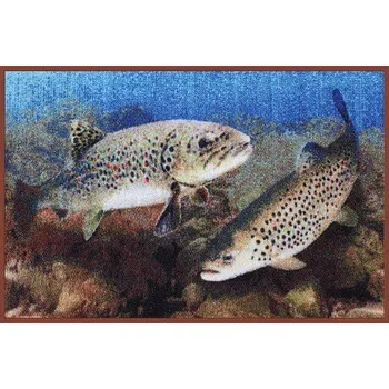 DELPHIN Rohožka PSTRUH 3D (DELPHIN Rohož PSTRUH 3D)