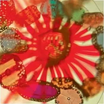 Zahraniční hudba LP Pak Yan Lau: Bakunawa LTD 2021 Limited Edition Vinyl