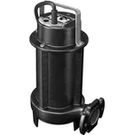 ZENIT GRS 100/2/G40H TCDGT E-SICM 10m 230V plovák 0276.002