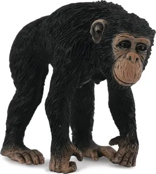Figurka Collecta Šimpanz samice 5,5 cm