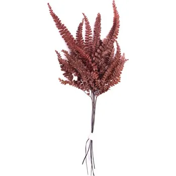 umělá květina Stabilizovaná rostlina Felci Fern Red 15-25 cm