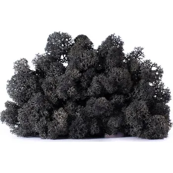 Stabilizovaný LIŠEJNÍK (sobí mech) / ČERNÝ - 100 g Preserved Lichen - Black