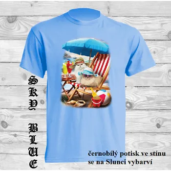 Pánské tričko panske-bavlnene-tricko-uv-potisk-kocky-plaz Barva: Sky blue - nebesky modrá, velikost: S