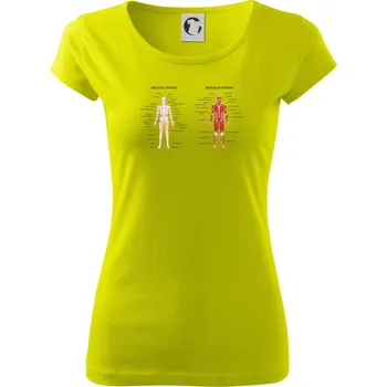 Skelet and Moscular system - Dámské triko Pure - XS ( Limetková )